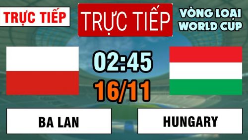 Trực tiếp Ba Lan vs Hungary lúc 02h45 ngày 16/11. World Cup 2022
