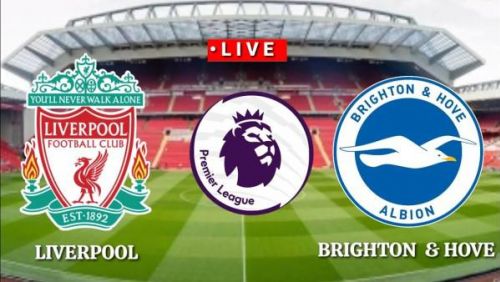Link trực tiếp & Nhận định, dự đoán Liverpool vs Brighton, 21h00 ngày 30/10